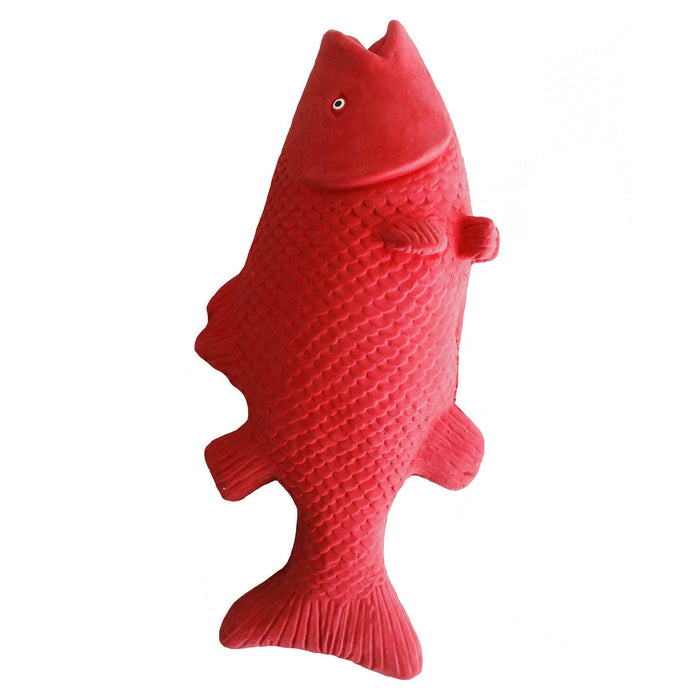 Feuerfische, 6er Set